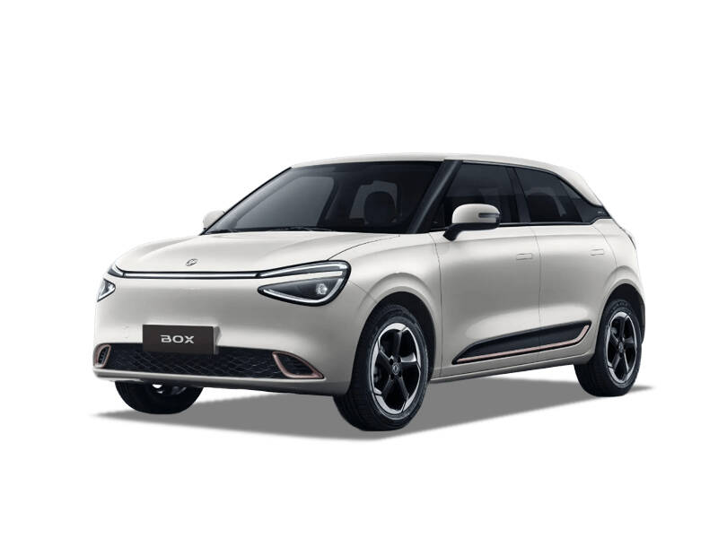 Dongfeng Box Flagship 430